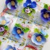 Mărțișor flori anemone