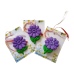 Set 10  martisoare zambitoare + 1 cadou - multicolore