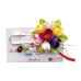 Brose elegante, multicolore - Branduse