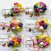 Brose elegante, multicolore - Branduse