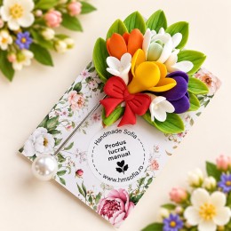 Brose elegante, multicolore