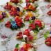 Brose elegante, multicolore - Branduse