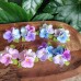 Cercei mari cu flori de hortensie pastel