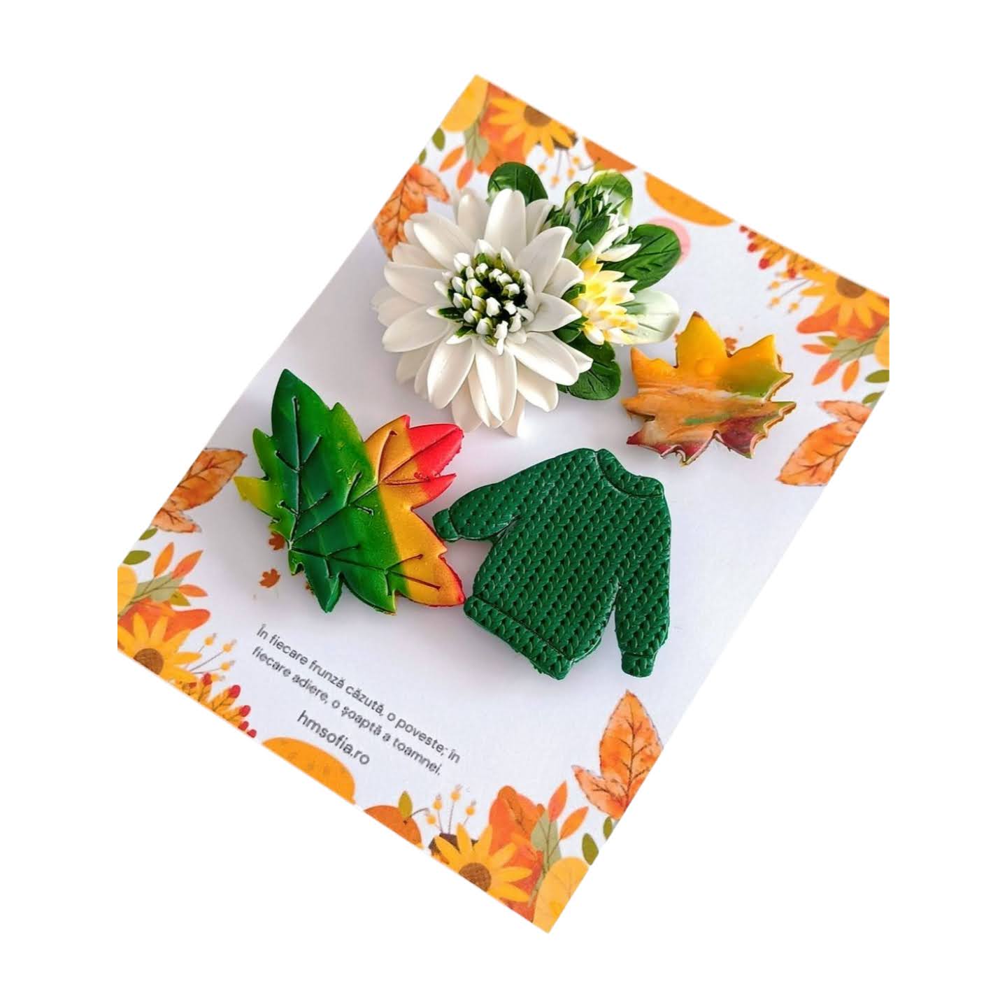 Set brose toamna: crizantema alba, dovlecel, ghinda, frunze
