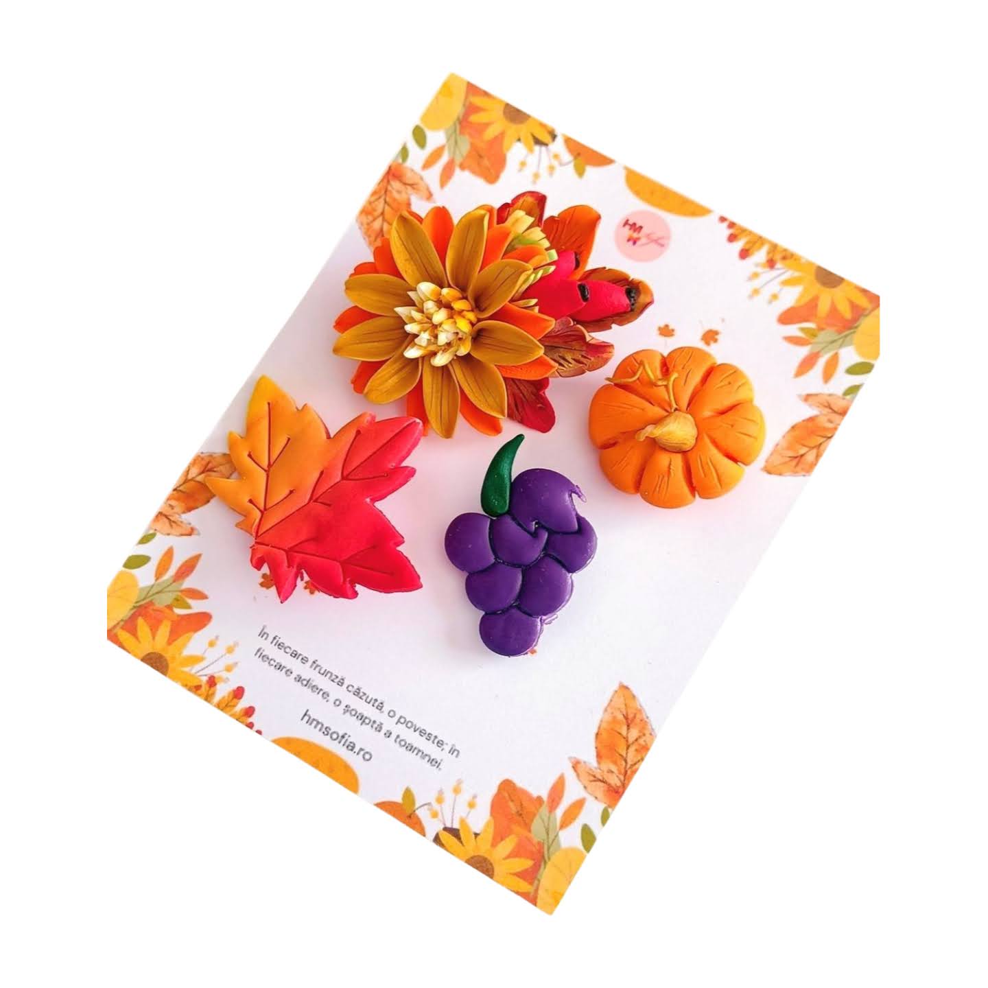Set brose Halloween: flori, dovlecel si frunze ruginii