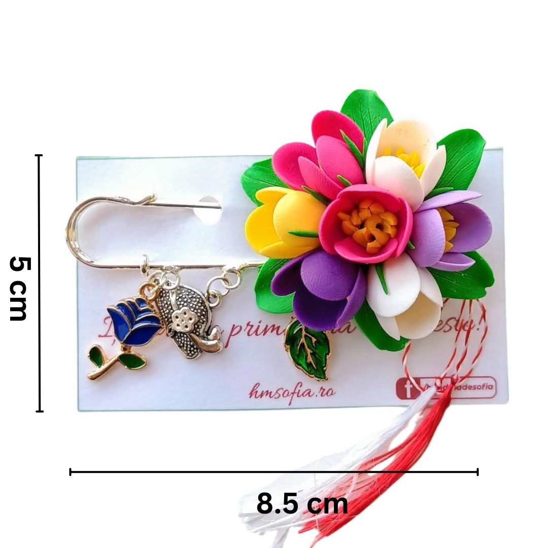 Brose elegante, multicolore - Branduse