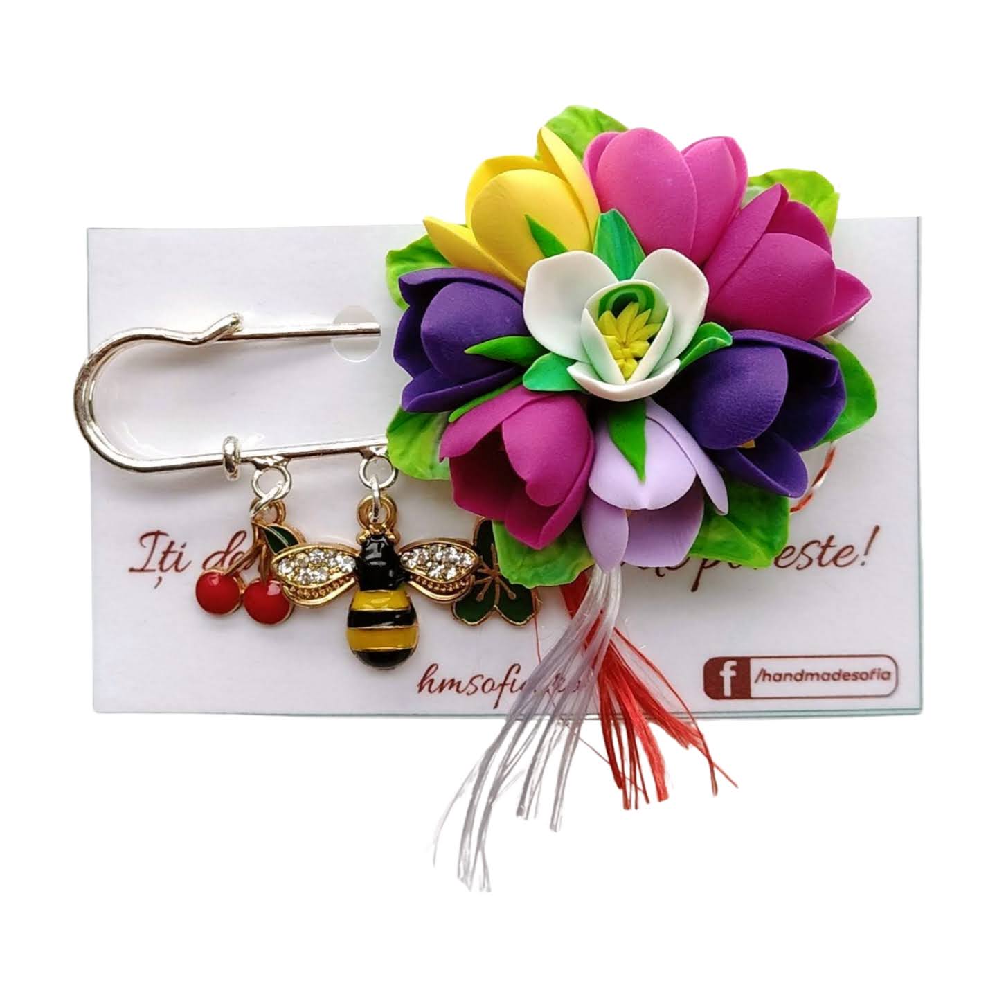 Brose elegante, multicolore - Branduse