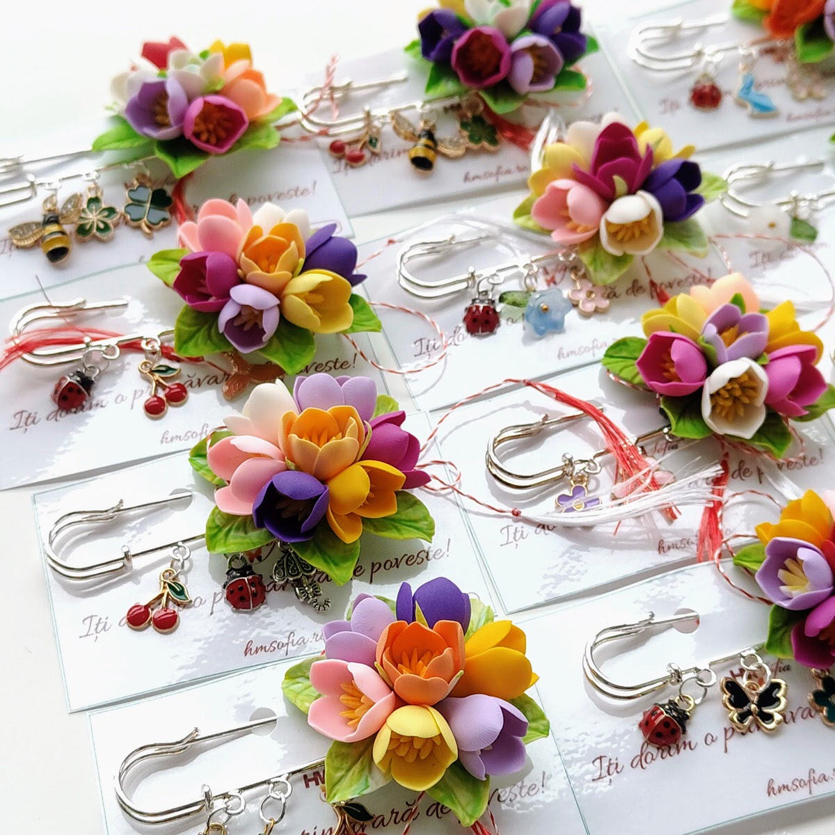Brose elegante, multicolore - Branduse