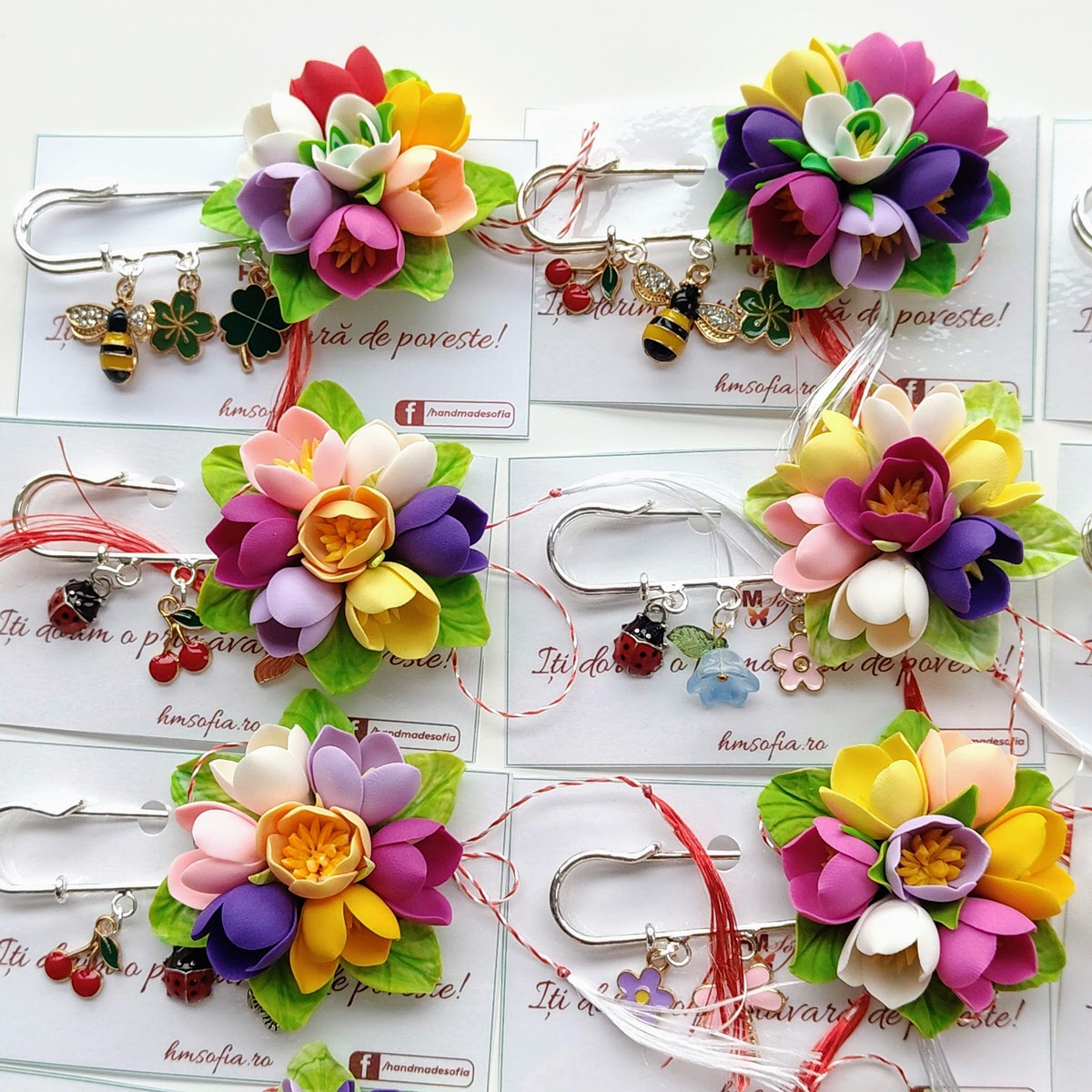 Brose elegante, multicolore - Branduse