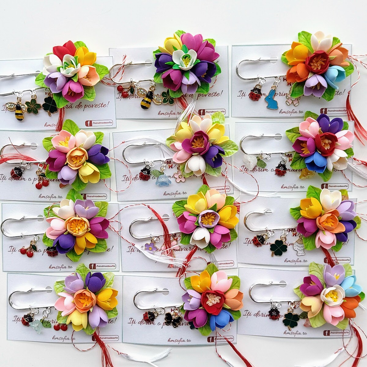 Brose elegante, multicolore - Branduse