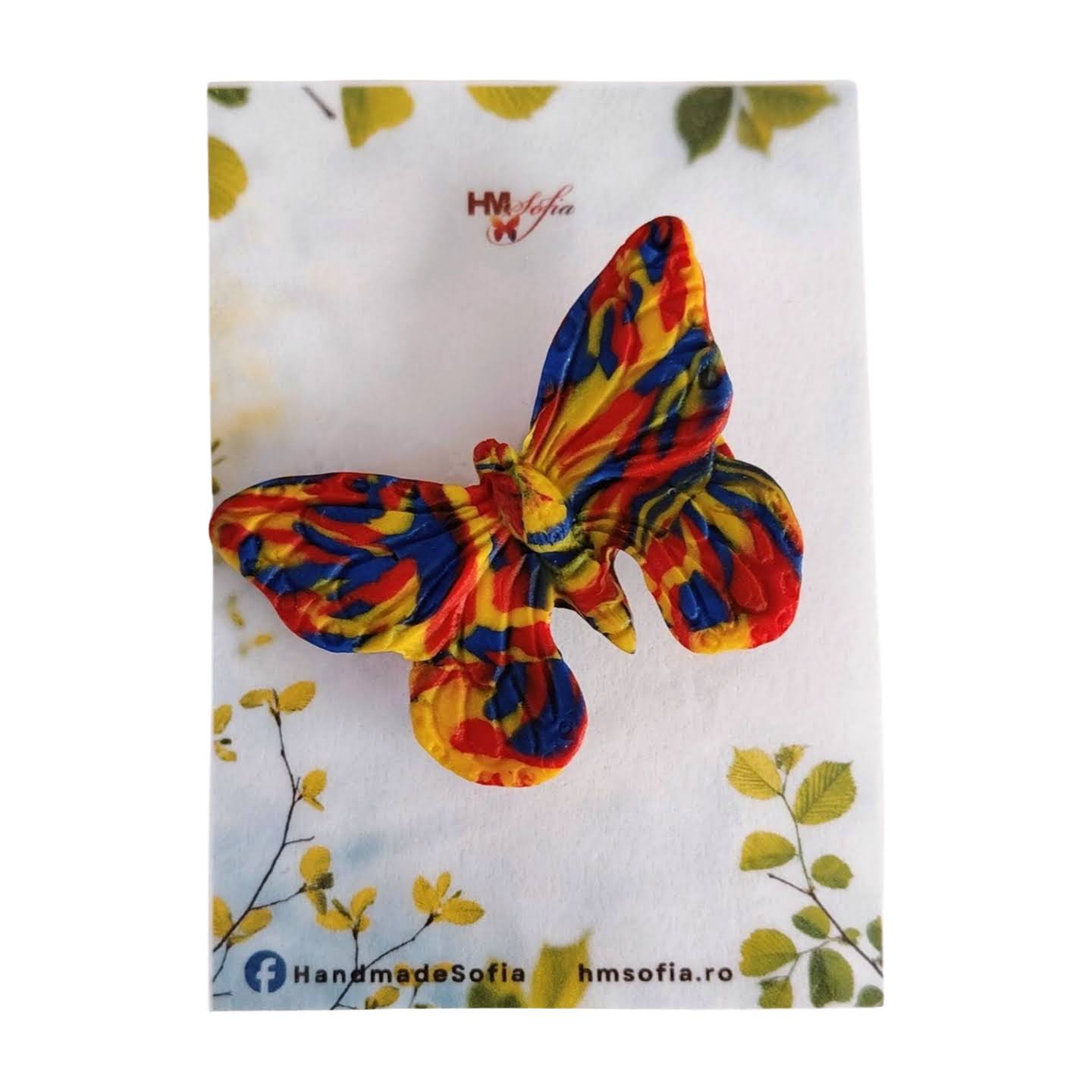 Set 2 brose Tricolor Romania, accesoriu 1 Decembrie