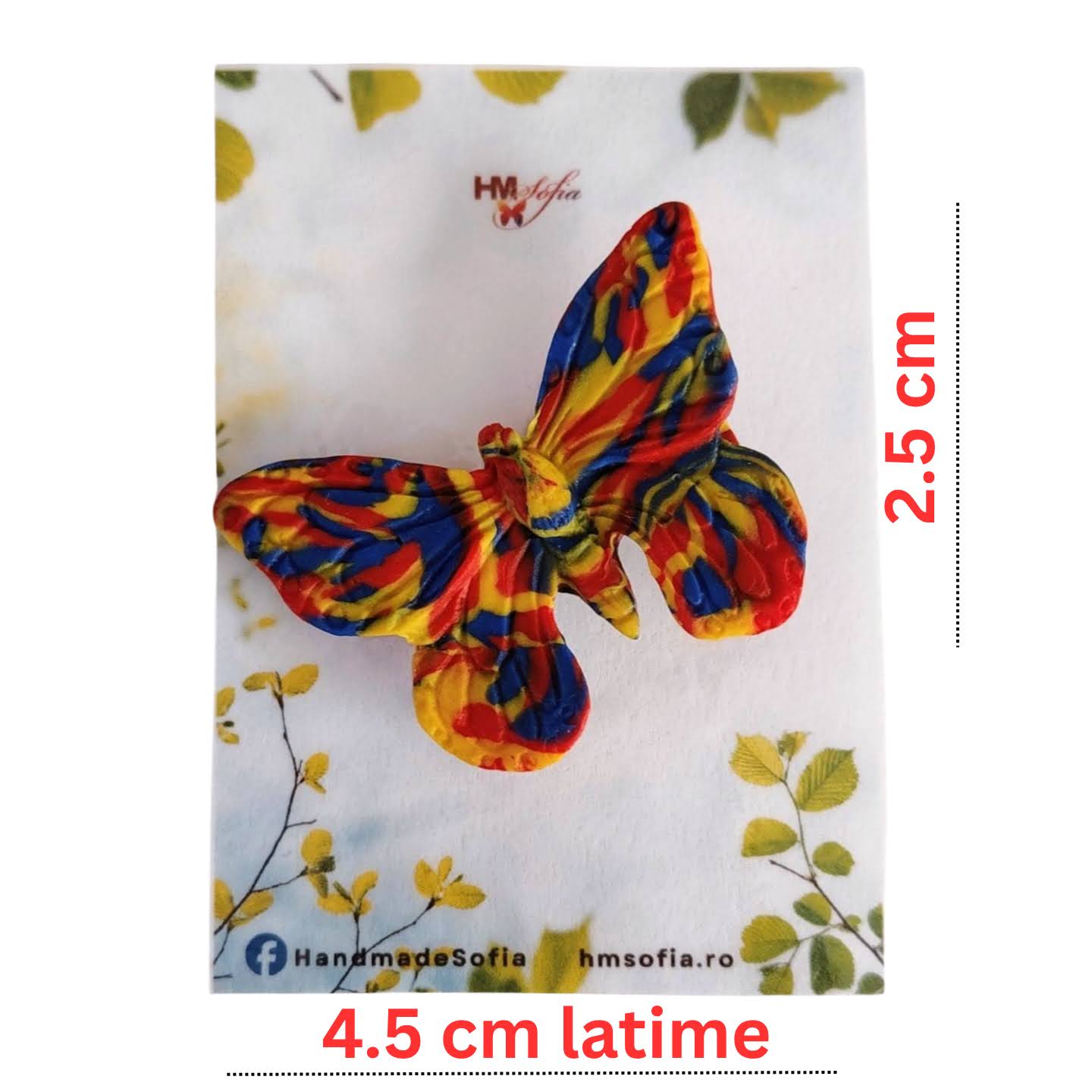 Set 2 brose Tricolor Romania, accesoriu 1 Decembrie