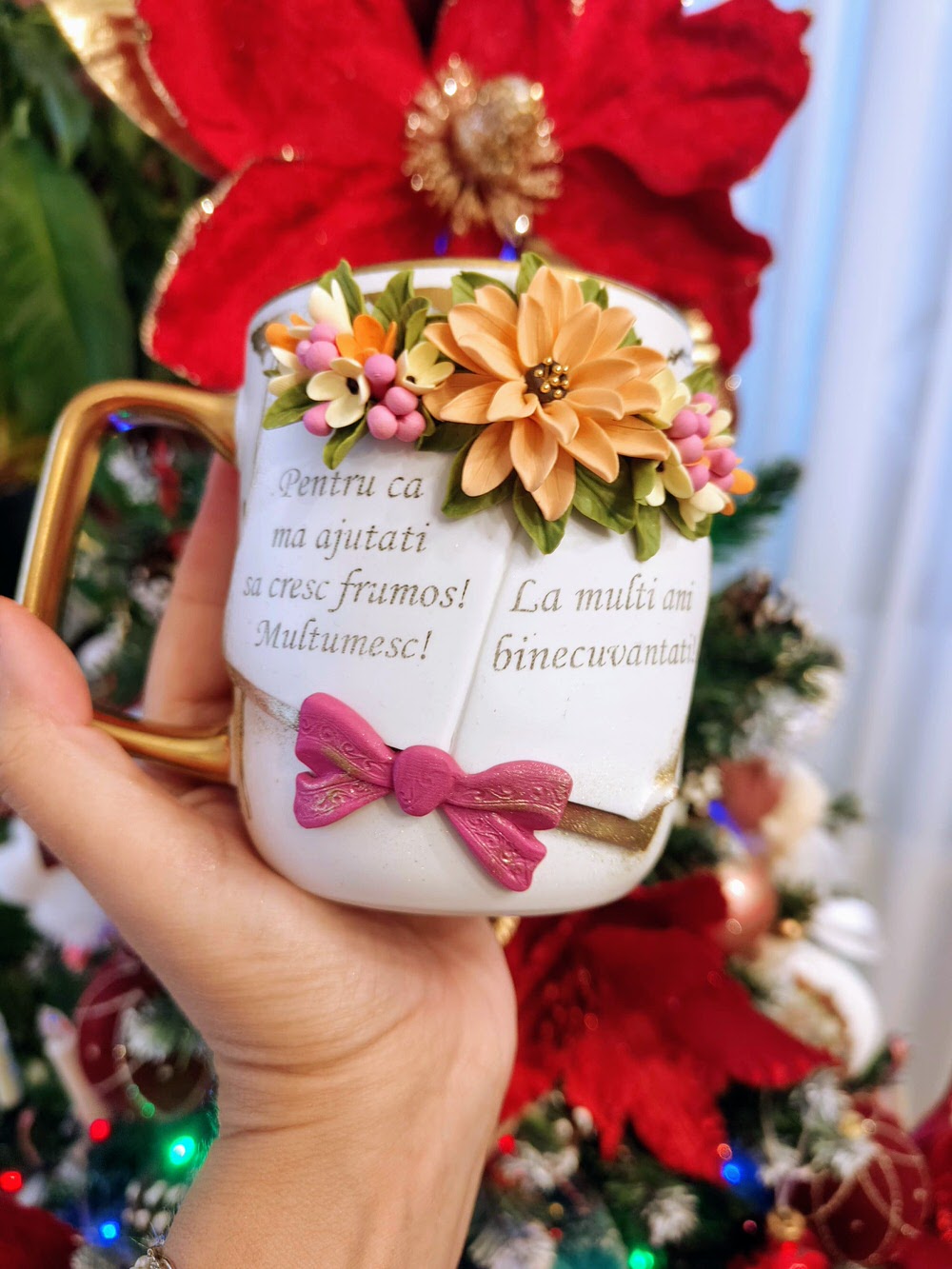Cadou de Crăciun pentru doamna învățătoare - HMSofia