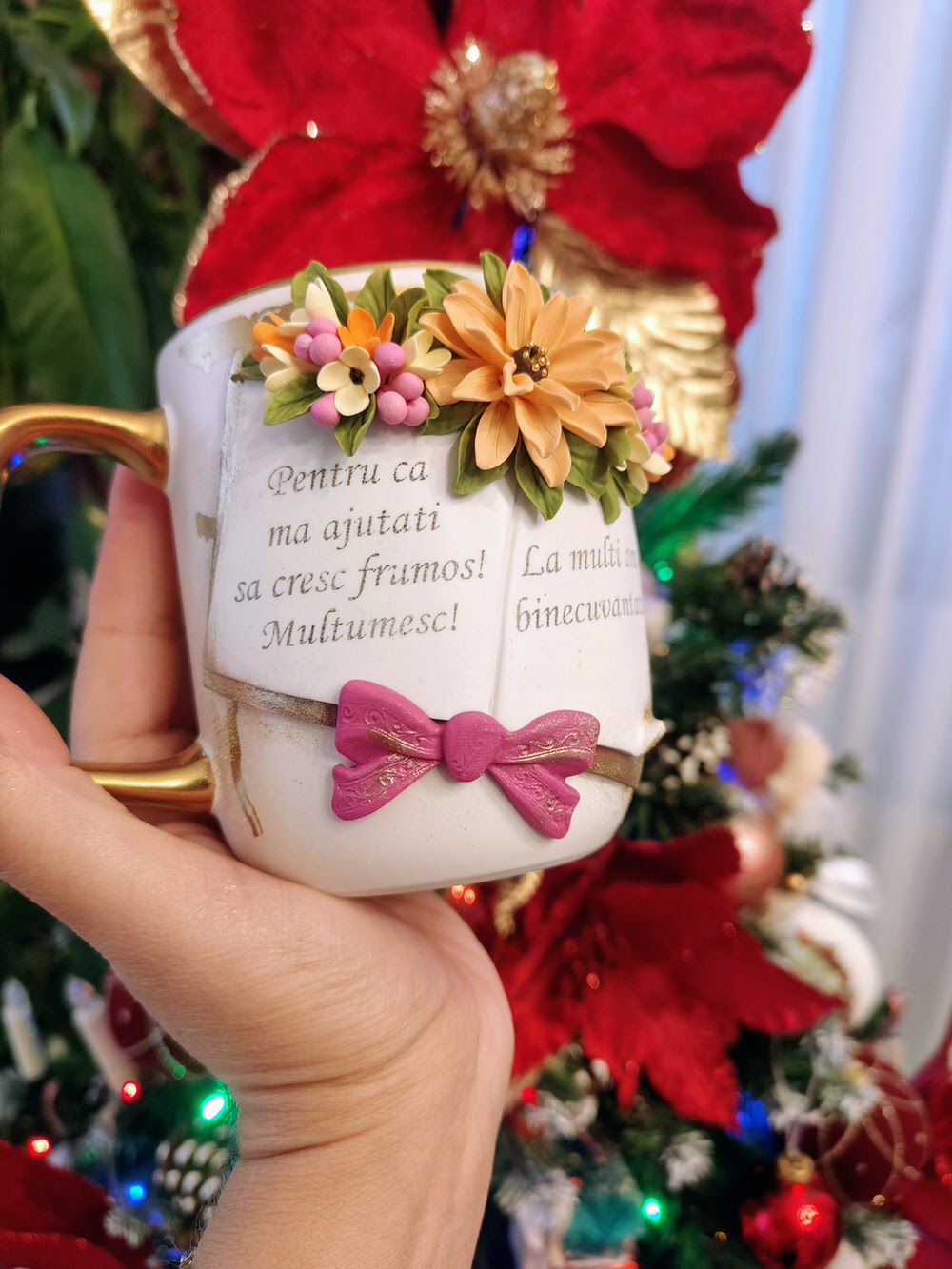 Cadou de Crăciun pentru doamna învățătoare - HMSofia